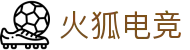 火狐电竞 - 点燃电竞激情，赛出体育精神